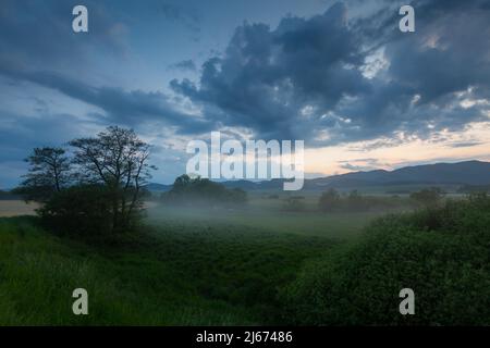 Nebbia terrestre nelle pianure del fiume Turiec, Slovacchia. Foto Stock