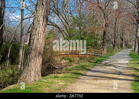 Ponte pedonale sul sentiero natura in Allaire state Park, New Jersey, come la primavera inizia a prendere il -05 Foto Stock