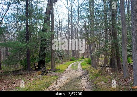 Percorso naturalistico all'Allaire state Park, New Jersey, quando la primavera inizia a prendere il -06 Foto Stock