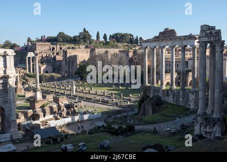 Il Foro Romano Roma Italia Foto Stock