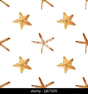 Acquerello stelle del mare motivo senza giunture. Illustrazione con stelle marine per qualsiasi disegno Foto Stock