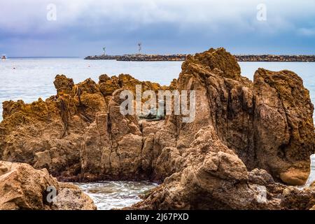 Costa rocciosa lungo la spiaggia di Corona del Mar in California, con la scultura di foche nascosta nelle rocce Newport Beach Jetty durante la festa sullo sfondo nuvoloso giorno Foto Stock