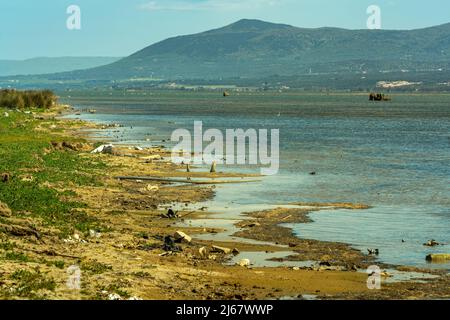 Rive del Lago Lesina, bacino lacustre salmastre situato nel Parco Nazionale del Gargano. Lesina, provincia di Foggia, Puglia, Italia, Europa Foto Stock