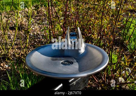 Fontana d'acqua al Brooklyn Botanic Garden Primavera 2022 Foto Stock