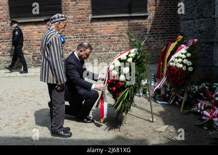 Auschwitz, Polonia. 28th Apr 2022. Il Presidente della Repubblica di Polonia Andrzej Duda (R) con il sopravvissuto all'Olocausto Edward Mosberg (L) posò fiori di fronte al Muro della morte. Nella Giornata Internazionale della memoria dell'Olocausto, partecipanti provenienti da diverse parti del mondo partecipano alla marcia dei viventi. La marcia dei viventi è un tributo e un segno di memoria per le vittime dell'Olocausto. I partecipanti della marcia insieme coprono il tratto di tre chilometri che conduce dalla porta Arbeit Macht Frei all'ex campo tedesco di Auschwitz i all'ex sito di Auschwitz II - Birkenau. Credit: SOPA Images Foto Stock