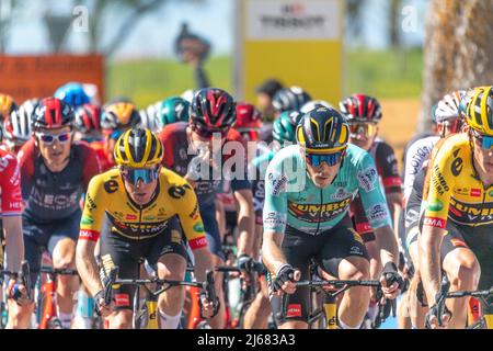 28 aprile 2022, Echallens, Svizzera: Losanna Svizzera, 04/28/2022: Il Tour del peloton romandie nelle strade della città di Echallens è in azione durante la tappa 2nd del Tour del Romandie 2022 (Credit Image: © Eric Dubost/Pacific Press via ZUMA Press Wire) Foto Stock