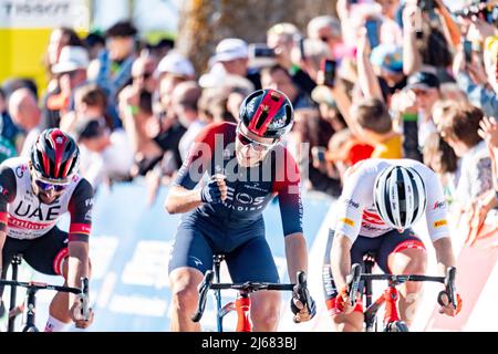 28 aprile 2022, Echallens, Svizzera: Losanna Svizzera, 04/28/2022: Ethan Hayther del Team dei Grenadiers di Ineos celebra la sua vittoria della seconda tappa del Tour of Romandie 2022 (Credit Image: © Eric Dubost/Pacific Press via ZUMA Press Wire) Foto Stock