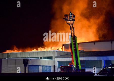 Bad Rappenau, Germania. 29th Apr 2022. 29 aprile 2022, Baden-Wuerttemberg, Bad Rappenau: I vigili del fuoco stanno rispondendo ad un incendio in un locale di produzione. Secondo la polizia, l'incendio in un deposito di legno nel distretto di Heilbronn avrebbe potuto causare danni per milioni di persone. Si diceva che nella sala erano stati stoccati materiali in legno per la produzione di sedie. Il proprietario stima il valore del legno bruciato da solo a circa 350.000 euro. Foto: Leonard Buchner/Einsatz-Report24/dpa Credit: dpa picture Alliance/Alamy Live News Foto Stock