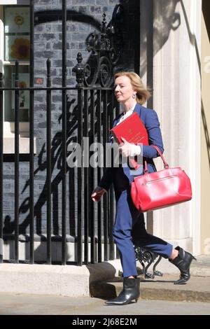 Londra, Regno Unito, 26th aprile 2022. Il Segretario degli Esteri Liz Truss parte dopo la riunione settimanale del Gabinetto al n. 10 Downing Street. Foto Stock