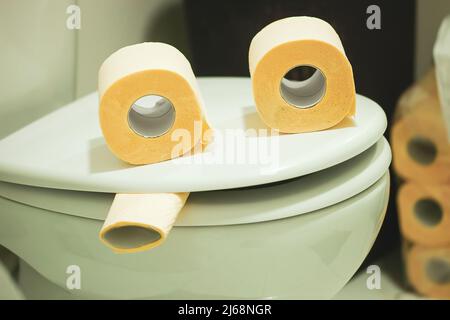 Carta Igienica E Foto Divertenti in Ciotola Immagine Stock - Immagine di  gabinetto, arte: 176988435