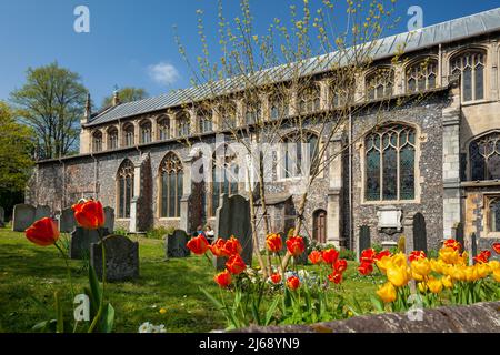 Tulipani nella chiesa di Santo Stefano nel centro di Norwich, Norfolk, Inghilterra. Foto Stock