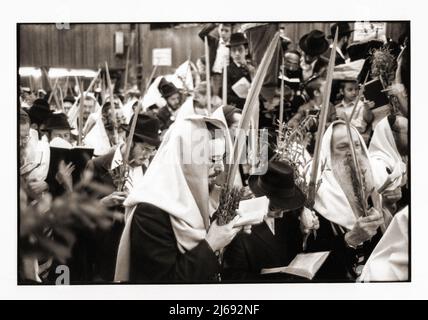 Gli ebrei ortodossi a Sukkos pregano mentre tengono le 4 specie di festa. Presso la sinagoga principale di Lubavitch a Crown Heights, Brooklyn, New York. Foto Stock