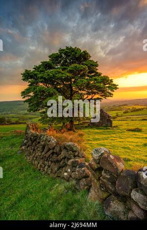 Tramonto spettacolare a Roach fine con granaio derelitto, il Roaches, Staffordshire, Inghilterra, Regno Unito, Europa Foto Stock