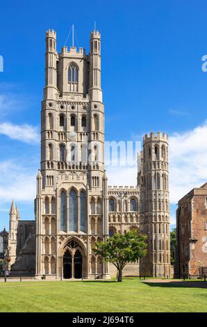 Ely Cattedrale (Chiesa Cattedrale della Santissima e indivisa Trinità) da Palace Green, Ely, Cambridgeshire, Inghilterra, Regno Unito Foto Stock