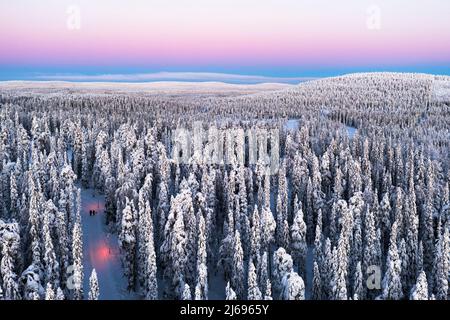 Vista aerea di due escursionisti che camminano nella foresta innevata all'alba, ISO-Syote, Lapponia, Finlandia, Europa Foto Stock