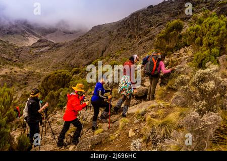 Donne in viaggio fino al monte Kilimanjaro, patrimonio dell'umanità dell'UNESCO, Tanzania, Africa orientale, Africa Foto Stock