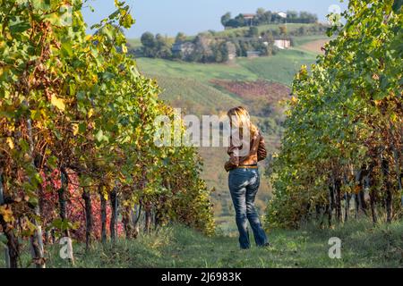 Donna in giacca marrone in piedi al centro di un vigneto giallo in autunno, Castelvetro di Modena, Emilia Romagna, Italia, Europa Foto Stock