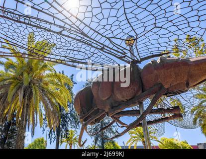 Huelva, Spagna - 28 aprile 2022: Vista parziale del monumento ad una dragonfly realizzata in acciaio corten, nel Campus de “El Carmen” della Huelva Universit Foto Stock