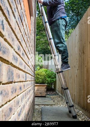 Scala di accesso telescopica a sezione tubolare in alluminio completamente estesa con man climbing per eseguire una riparazione Foto Stock