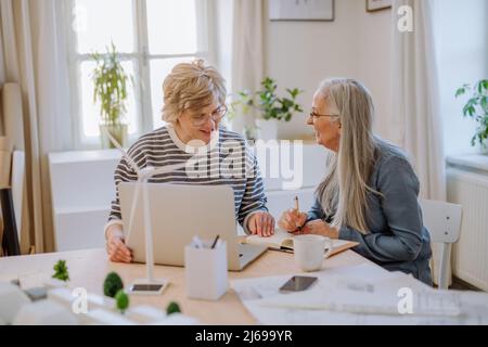 Le donne anziane sono eco architetti con progetti che lavorano insieme su un notebook in ufficio. Foto Stock