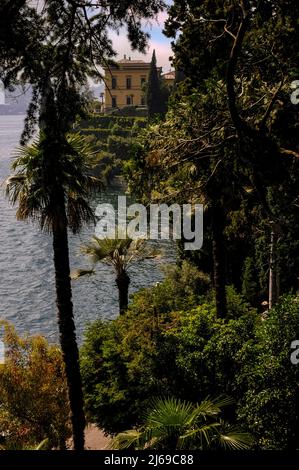 Bellezza botanica sulle rive del Lago di Como a Varenna, Lombardia, Italia, con centinaia di specie di alberi rari ed esotici e piante che fioriscono nei giardini lacustri della Villa Monastero, fondato come convento medievale e ora museo comunale e centro congressi internazionale che ospita conferenze culturali e scientifiche. Foto Stock