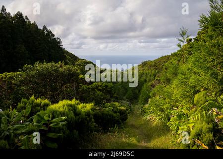 Faial, Portogallo - 07 Agosto 2021 : Sentiero che conduce a Cabeo do Fogo Foto Stock