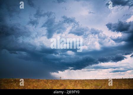 Cielo durante la pioggia Horizon sopra grano rurale Landscape Field. Concetto di previsione agricola e meteorologica. Tempesta, tuono, tempesta, tempesta Foto Stock