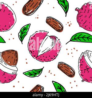 Disegno senza giunture di un esotico frutto di litchi, foglie e semi, disegnati a mano in stile schizzo. Lychee. Frutta e foglie. Frutta. Illustrazione semplice vettoriale Illustrazione Vettoriale