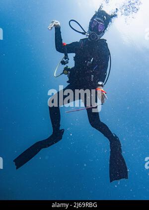 Tuffatori che esplorano le acque tropicali intorno a Koh Tao in Thailandia Foto Stock