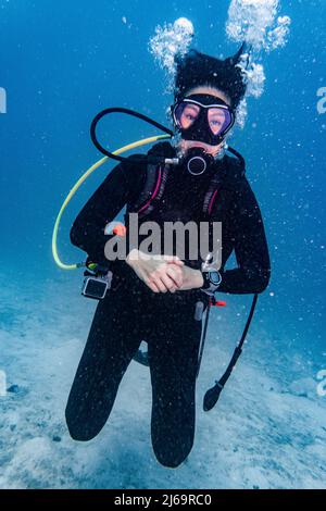 Tuffatori che esplorano le acque tropicali intorno a Koh Tao in Thailandia Foto Stock