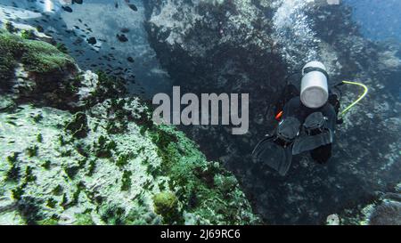 Tuffatori che esplorano le acque tropicali intorno a Koh Tao in Thailandia Foto Stock