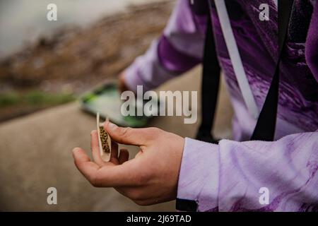 Mani di un uomo che prepara una sigaretta di marijuana. Primo piano Foto Stock