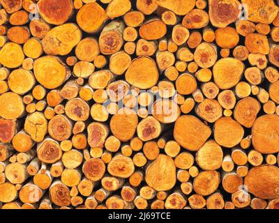 Muro di legna da fuoco o tronchi Foto Stock