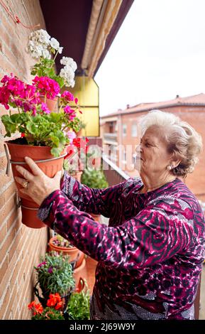 Donna anziana felice sta piantando un hobby dopo il ritiro in una casa. Foto Stock