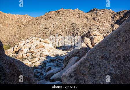 Guardando verso il basso sulla zona di Rattlesnake Canyon Day Use, Joshua Tree National Park, California, USA. Foto Stock