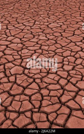 primo piano di fango rosso secco incrinato disegno astratto e forme Foto Stock