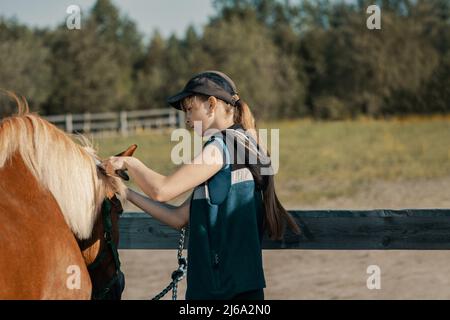 Ragazza teenage spazzolando la mana di cavallo con spazzola di mane all'aperto. Foto Stock