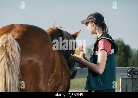 Adolescente caucasico con spazzola dandy in piedi vicino a cavallo in campagna. Foto Stock