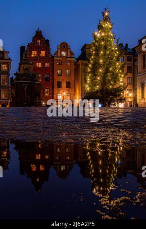 Albero di Natale a Gamla Stan Stoccolma Svezia Foto Stock