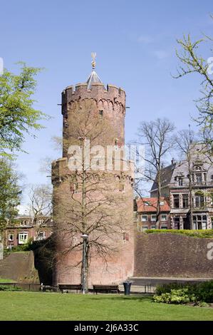 La torre Kruittoren con un albero in primo piano nel parco Kronenburgerpark di Nijmegen, nei Paesi Bassi Foto Stock