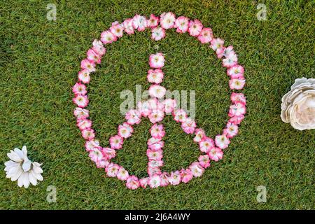 Simbolo di pace fatto da fiori estivi su erba verde Foto Stock