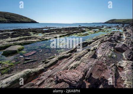 Splendide piscine di roccia colorate sulla spiaggia di Manorbier nel Galles del Sud del Pembrokshire Foto Stock