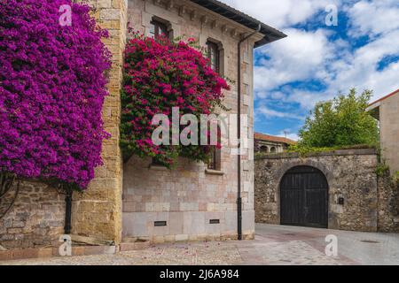 Llanes, Asturias, Spagna, 24 luglio 2021. Strada nel villaggio di pescatori di Llanes in Asturias. Foto Stock