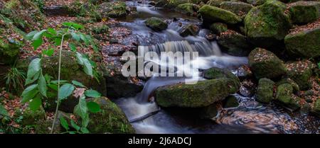 Fiume che scorre velocemente attraverso Padley Gorge, situato nel Peak District National Park, Derbyshire, Regno Unito. Foto Stock
