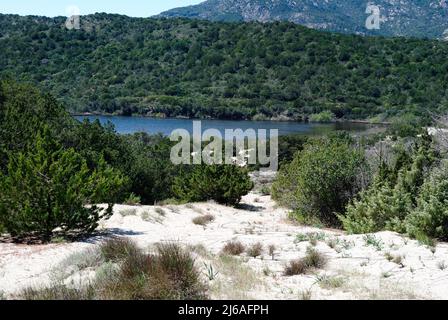 Le dune della spiaggia di Grande Pevero, Costa Smeralda Foto Stock