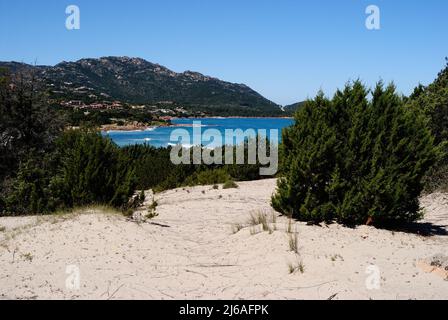 Le dune della spiaggia di Grande Pevero, Costa Smeralda Foto Stock