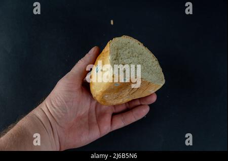 Un uomo tiene un pezzo di pane ammuffito su uno sfondo nero. Mano di un uomo cresciuto con un pezzetto di pane di grano stantio. Foto Stock