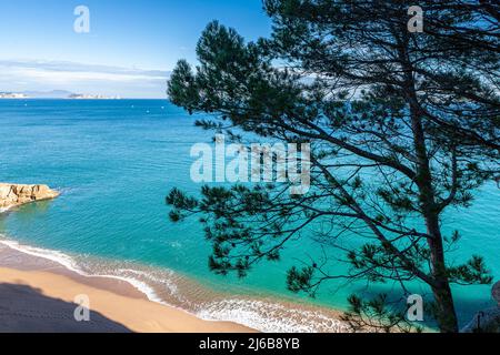 Cala Racó in SA Riera, Begur, Costa Brava, Girona, Spagna Foto Stock