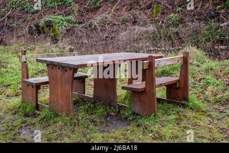 Primo piano di un tavolo da picnic in legno con sedia a rotelle e accesso per disabili Foto Stock