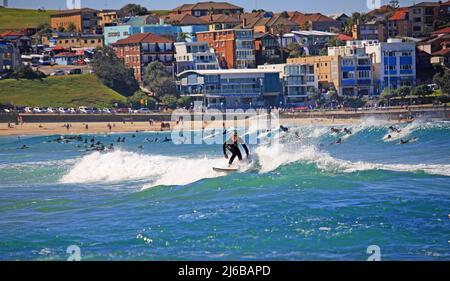 Surfista a Bondi Beach, vicino a Sydney, paradiso surfista, Australia Meridionale, Australia Foto Stock